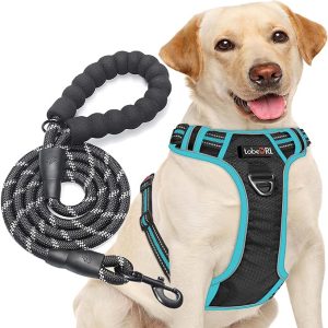 Arnés antitirones para perros, comodidad y elegancia para tu mascota